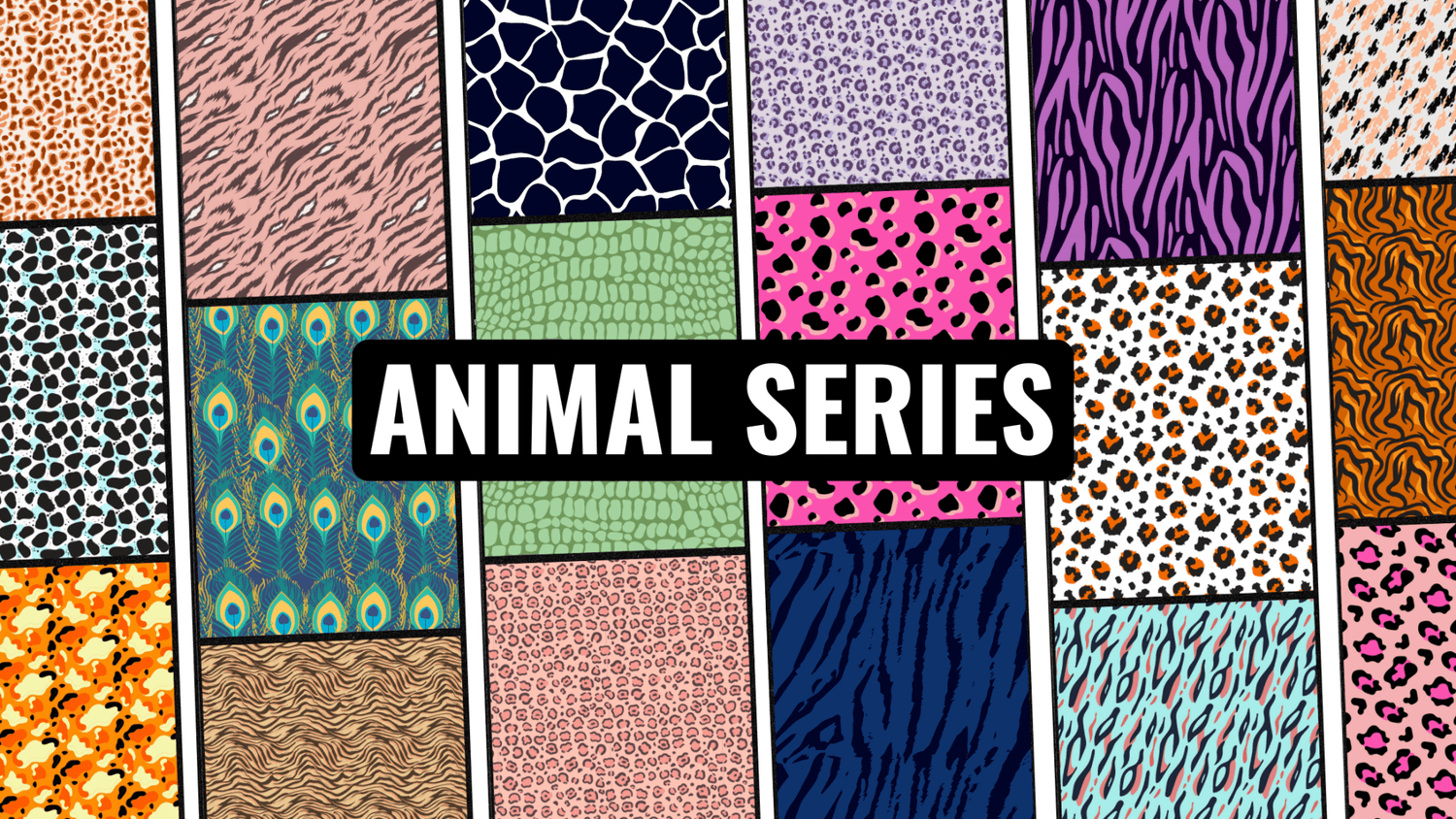 Animal Series | Animal Collection | GYMLEGGS LCC